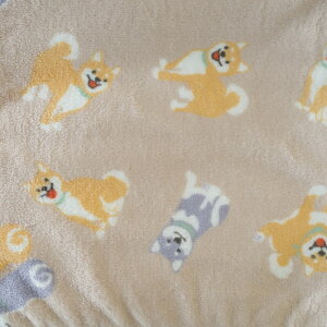  킢 {AtЂ| uPbg ѕz Q  h Q u[ O[ uE p[v sN bh CG[ O[ K `FbN Aj}  