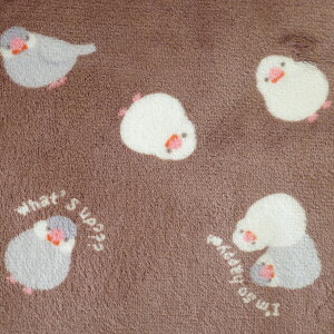 2020-ő30%OFFN[| 킢 {AtЂ| uPbg ѕz Q  h Q u[ O[ uE p[v sN bh CG[ O[ 