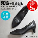 パンプス ポインテッドトゥ かかとクッション ノームコアパンプス フォーマル オフィス 黒 ビジネス 消臭抗菌 5センチヒール 低反発 レディース 歩きやすい 疲れにくい ブラック 22.5 25.0 柔らか 痛くない 通勤 プレートヒール 冠婚葬祭