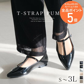 Tストラップ パンプス メリージェーン ポインテッドトゥ フラット レディース ローヒール 歩きやすい 大きいサイズ ぺたんこ シンプル 歩きやすい 黒 ブラック シルバー 22.5 24.5 25.0 ルリアンプラス