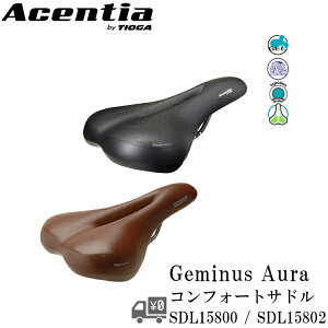 TIOGA ^CIK ACENTIA GEMINUS AURA Th Q WF~iXI[ SDL15800 SDL15802