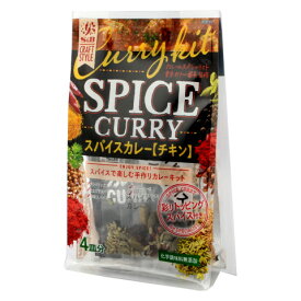 SB食品　S&amp;Bクラフトスタイル スパイスカレー　4皿分