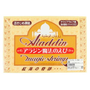 TEWArA@oiC31/40@1.8kg