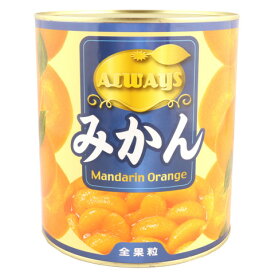 天野食品　中国みかん　3000g【訳あり】＜切替予定＞