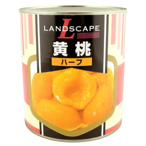 LANDSCAPE@n[t@3000g