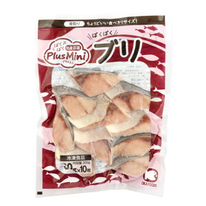 IJt[Y@PlusMiniuؐg()@30g×10