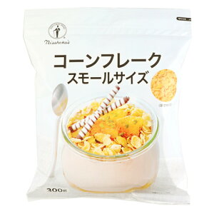 {Hi@R[t[N X[TCY@300gy󂠂z