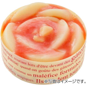 y10/31ǉzܗmHi@zCgs[`A`[Y@4TCY(290g)