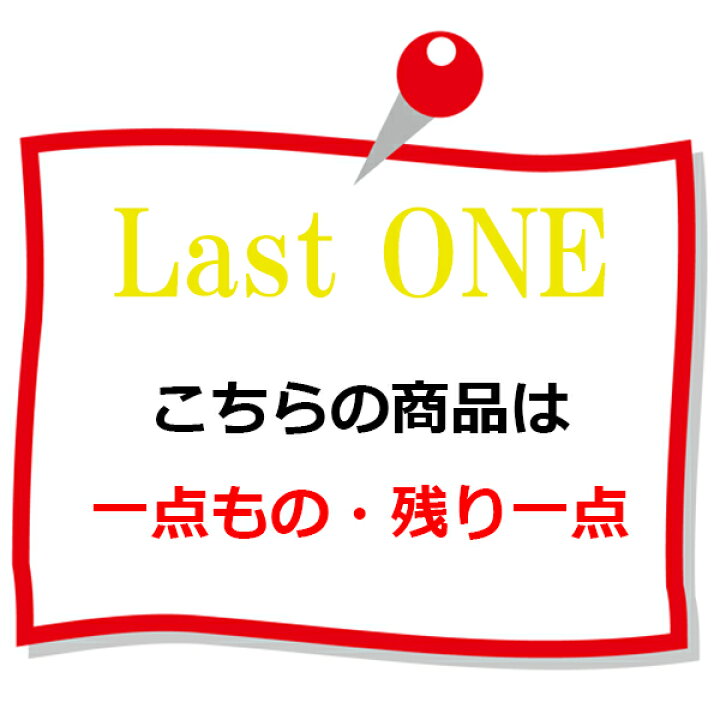 楽天市場】90%OFF 新品 ホリー holly ジャケット 40 LJK749 Mサイズ 