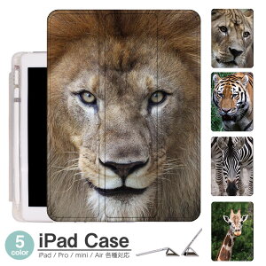 iPadP[X ACpbhP[X ipad Apple ipadProP[X ipad[ ipadX^h ipad iPadPro5 iPad9 iPadmini6 Air4 ApplePencil[t ipadmini ipadPro12.9C` ipadPro11C` ipadPro10.5 ipadPro9.7 ipad141