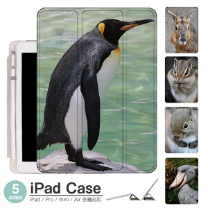 iPad �P�[�X ���A�� �A�j�}�� Air5 ��5���� mini6 Air4 10.9 9.7 2017 2018 ��9���� �^�b�`�y�� �I�[�g�X���[�v�Ή� Pro 9.7 Pro 10.5 Air3 10.2 2019 2020 ���^ �y�� mini4 mini5 Air2 iPad Air �A�C�p�b�h�G�A�[2�P�[�X �A
