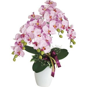 yLINEFB100~OFFzR`E@5{āiԁj@y10-125z yVX[p[Z[03042000`11 0159y|Cg2{z5̂ Gg[ j j oYj 