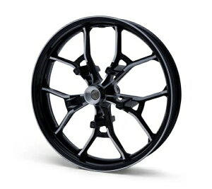 43300955ptH[}XtH[WhzC[@19C`Etg /Performance Forged19 in. Front Wheel