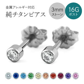 楽天市場 チタン ファーストピアスの通販