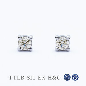 `^sAX@VRuE_Ch@v0.2ct@TTLB@SI1@EX HC@|Xg^Cv@[E0006-BRD]