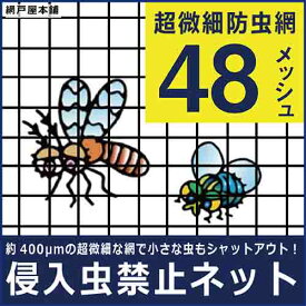 TAITO 侵入虫禁止（約48メッシュ / 91cm巾×2m巻）張替え網 網戸 防虫網