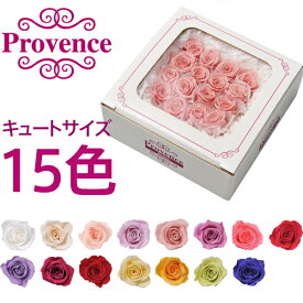 プリザーブドフラワー プロヴァンスローズ キュート16輪 フラワーアレンジメント 花材 バラ薔薇 母の日 プレゼント 花