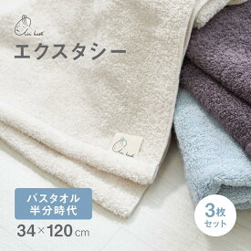 エアーかおる エクスタシー バスタオル半分時代 エニータイム 3枚セット 送料無料 ギフト プレゼント 日本製 浅野撚糸 綿100% ミニバスタオル 厚手 ふわふわ ヘアドライ