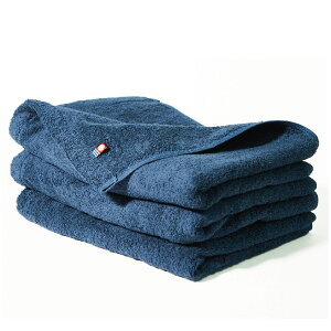 setoiro ミニバスタオル 今治 3枚セット / 速乾 中厚 40 110 綿100% ふわふわ かさばらない コンパクト ブルー グレー