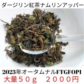 ダージリン紅茶【50g】ナムリンアッパー　2023年オータムナル(FTGFOP1　リーフ)ダージリン紅茶　無農薬　オーガニック　 紅茶