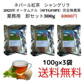 ネパール紅茶 2023年 オータムナル【300g】業務用卸　シングルオリジン　シャングリラ製茶　有機 　オーガニック