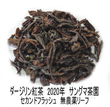【50g】サングマ茶園2020年セカンドフラッシュ(ＳFTGFOP1リーフ)(MUSK)ダージリン紅茶  紅茶 茶葉