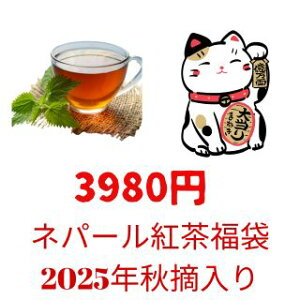 2025N-4g܁@lp[g̕܁@VOIW@g@t@mt[o[heB[