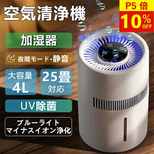 �y�労�ӍՌ���! P5�{��10%OFF�z��C����@ ������ �C���� ��e�� 4L 99���h�� 25���Ή� PM2.5 �ԕ� uv���� �A���} �㕔���� ���R�ꂵ�Ȃ� �����@ �������ȒP �����΍� �E�C���X�΍� ���É� �ȃG