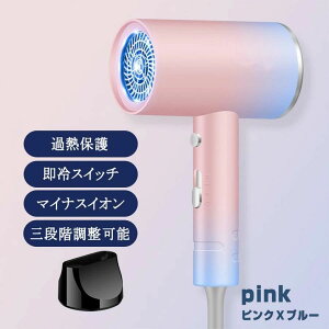 �h���C���[ ���� ��M�� �������� �w�A�h���C���[ �}�C�i�X�C�I�� �啗�� �P�� �w�A�P�A 3�i�K 850W/1200W �ᑛ�� �ߔM�ی� ���� �N���X�}�X�v���[���g