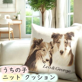 【2匹入り】 ペット 写真 クッション オリジナルグッズ 結婚祝い ペア オーダーメイド メモリアルグッズ お悔みギフト 誕生日プレゼント 還暦祝い 退職祝い 記念品 記念 送別会 写真入り 誕生日 サプライズ 愛犬 愛猫 猫 ハスキー 馬 うさぎ 思い出 グッズ
