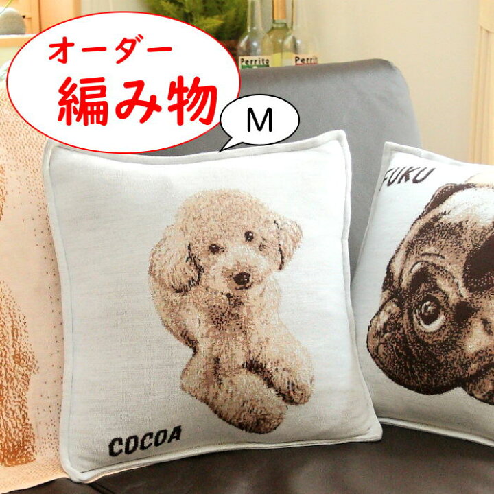 あの頃のペット用クッション