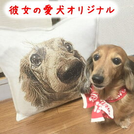 楽天市場 サプライズ プレゼント ペット ペットグッズ の通販