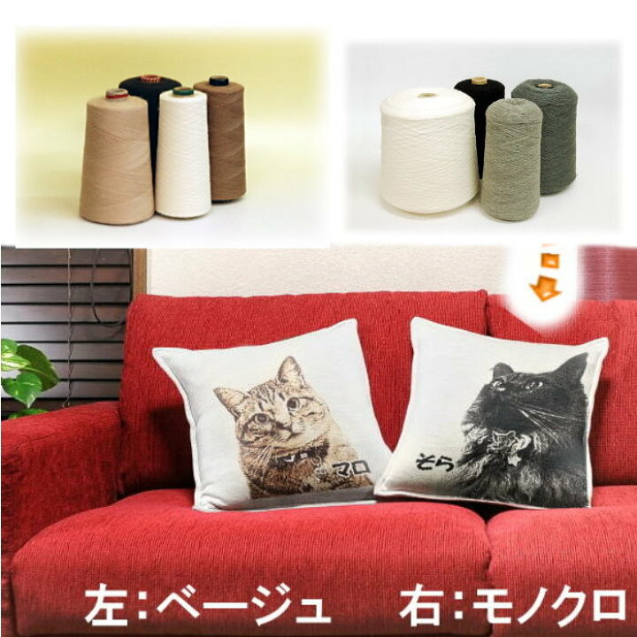 あの頃のペット用クッション