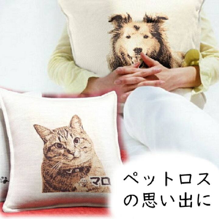 あの頃のペット用クッション