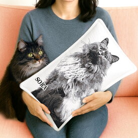 【商品番号53】 ペット 写真 抱きまくら 虹の橋 お悔み 供養 お供え 仏壇 贈り物 結婚記念日 記念 妻 嫁 嫁さん 奥さん 両親 父 母 夫 プレゼント 猫 愛猫 オーダー 猫好き 犬好き 結婚祝い お祝い 誕生日 プレゼント 誕生日プレゼント 名入れ クッション 内祝い