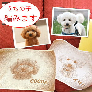 gCv[h G ObY I[_[ ̓ v[g G|  CeA ybg  IWiObY ʐ^ IWi A ybgX ݃Mtg 킢 a v[