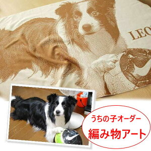 ybg ʐ^ I[_[ av[g  a j җj җ ސEj 蕨 Mtg A { d vo   j  FB v[g ޏ    D 