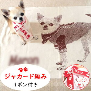 av[g җj  ʐ^ v[g ybg uPbg җ 60 j  L IWi   ʐ^   e G| LO ꐶc  EɂЂƂ ԈȊO 