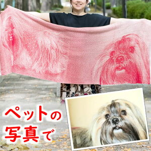 җj  v[g ybg ʐ^ I[_[ jbg V[ Xg[ XJ[t LD IWi jҗ җ  e  ꂳ `  Fl j 60 av[g u