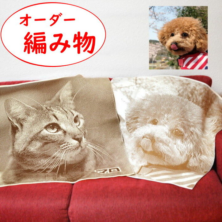 楽天市場】ニットブランケット 愛犬 愛猫 ペット オリジナルグッズ  