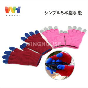 y݌Ɍ990~zVv5{w  ĂԂ O[u ܖ{w  ܃WjA ̎q fB[X h jbg~ ۉ Vv Xmas NX}X Christmas 肷܂ P000100200174