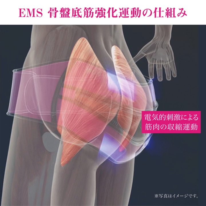 楽天市場】APPLIPS ヒップトレーナー EMS 骨盤底筋 マッサージ機