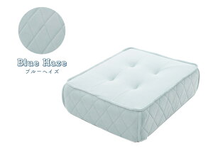 tANbV Lg {   킢 q֎q 1l| tF~j NbV [\t@[ Igiq 1l炵 Sn |PbgRC