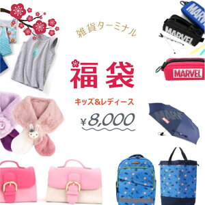 y2025 LbYzy\񏤕izʌ  2024N 6_Zbg bN GRobO yP[X M@P }[x pW} im}XN marvel p666-10000-kids