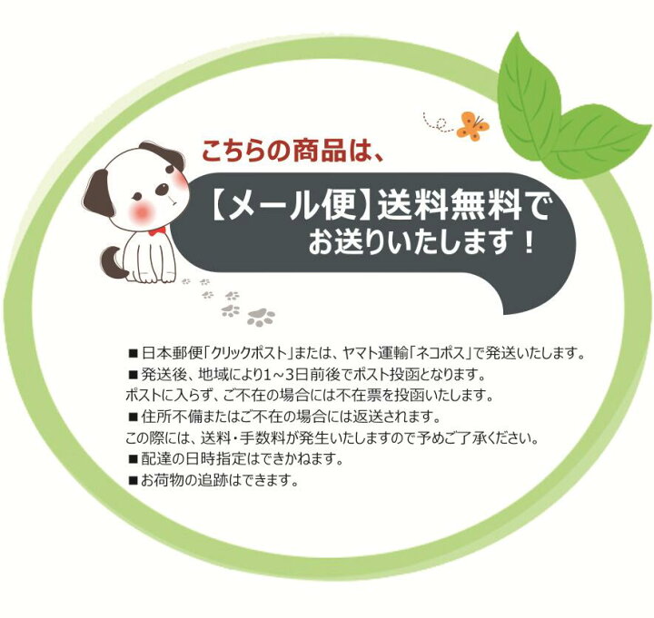 楽天市場 セパレート 子供水着 女の子 ラッシュガード 水着3点セット セパレート キッズ水着 女の子 スクール水着 幼稚園 小学生 中学生 海水浴 スイムウェア プール 水遊び 長袖 半袖水着 ジュニア P0376 雑貨ターミナル