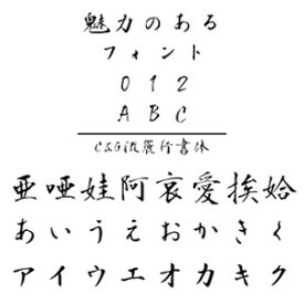 【ポイント10倍】【35分でお届け】C&G流麗行書体 (Windows版 TrueTypeフォントJIS2004字形対応版) 【C&G】【ダウンロード版】