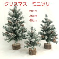 【送料無料】クリスマスツリー 卓上 ミニツリー 20cm 30cm 40cm おしゃれ オーナメント クリスマス飾り …