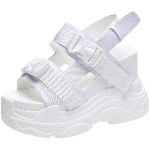 T_ fB[X X|[cT_ T_ ʋC RtH[g q[12cm CuV[Y X IV ؍t@V r[`T_ EFbW\[ ~[ C AEgh