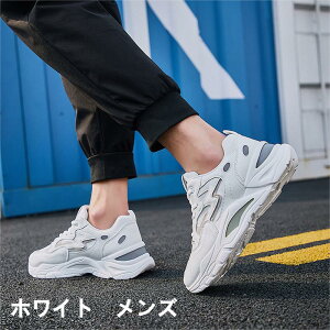 y؍lCb蕦ingzXj[J[jp Y fB[Y+4cm ʋCtBbglXV[YbVfB[X r Xb| d C Ȃ  Ōt  ƌC