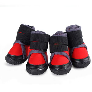 C V[Y h Ro ʋC y  _炩 14 ~ ₷ EȂ ی ybg  L hbO ̌C V[Y u[c hbOV[Y ^